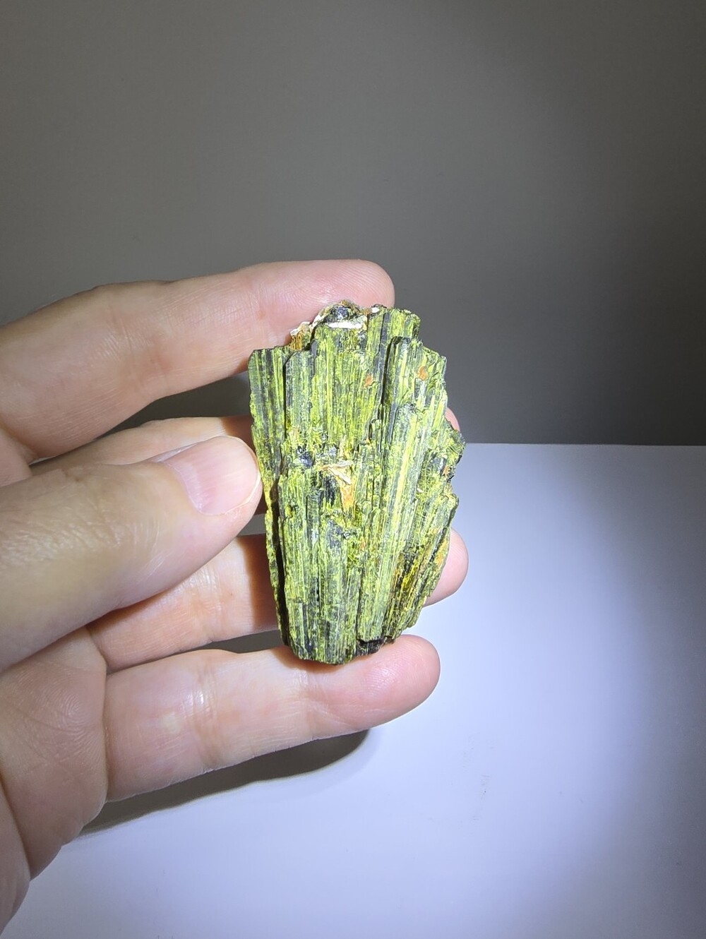 Epidote with Actinolite #A